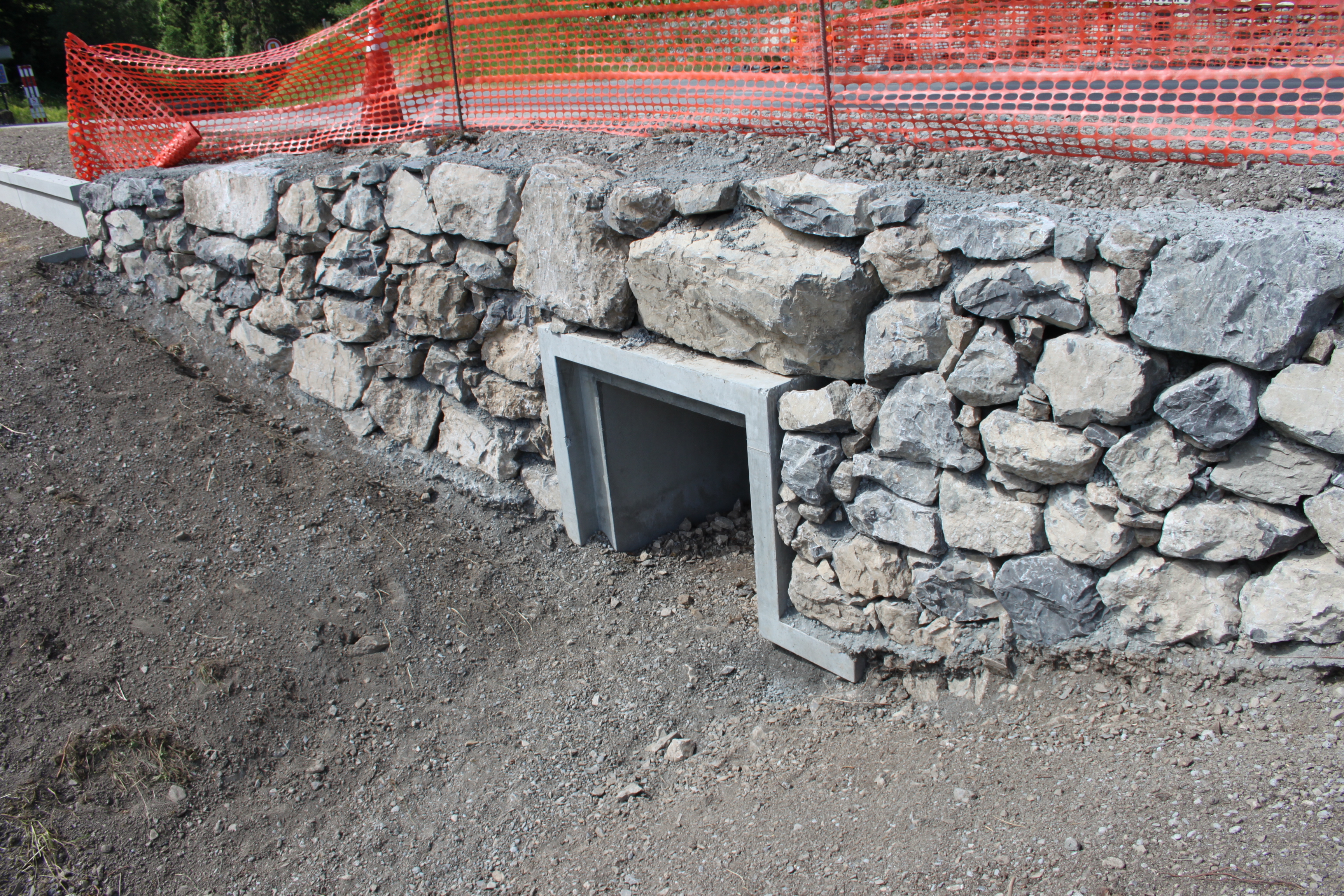 Crapauduc du bas marais de Morgins