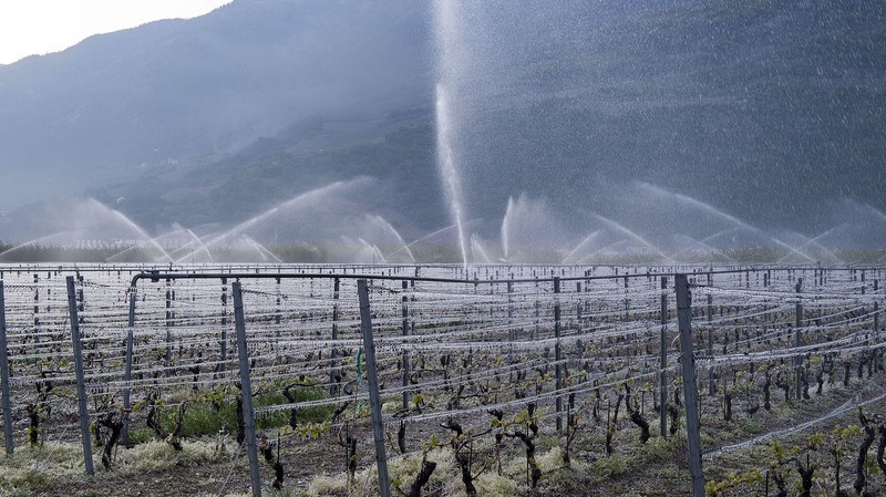 Lutte antigel du vignoble d'Ardon (photo Sacha Bittel, NF)