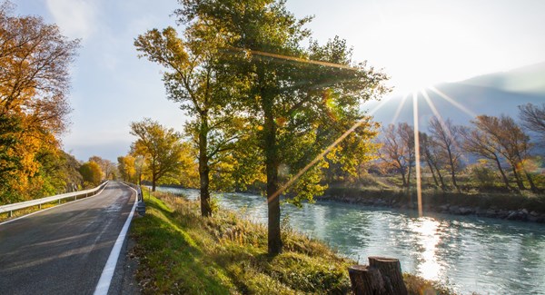 Rhône - Bord du Rhône