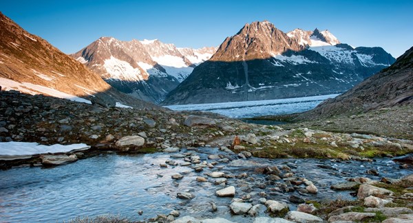 Montagne - Glacier avec ruisseau